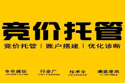成功托管SEM竞价，实现品牌快速曝光